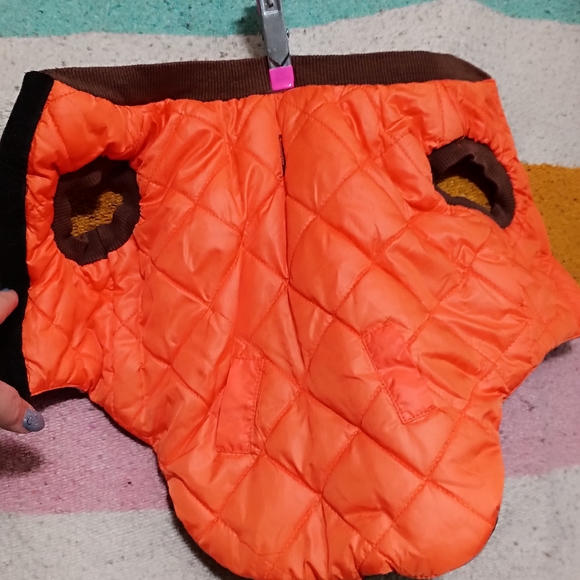 pet coat - Picture 2 of 3